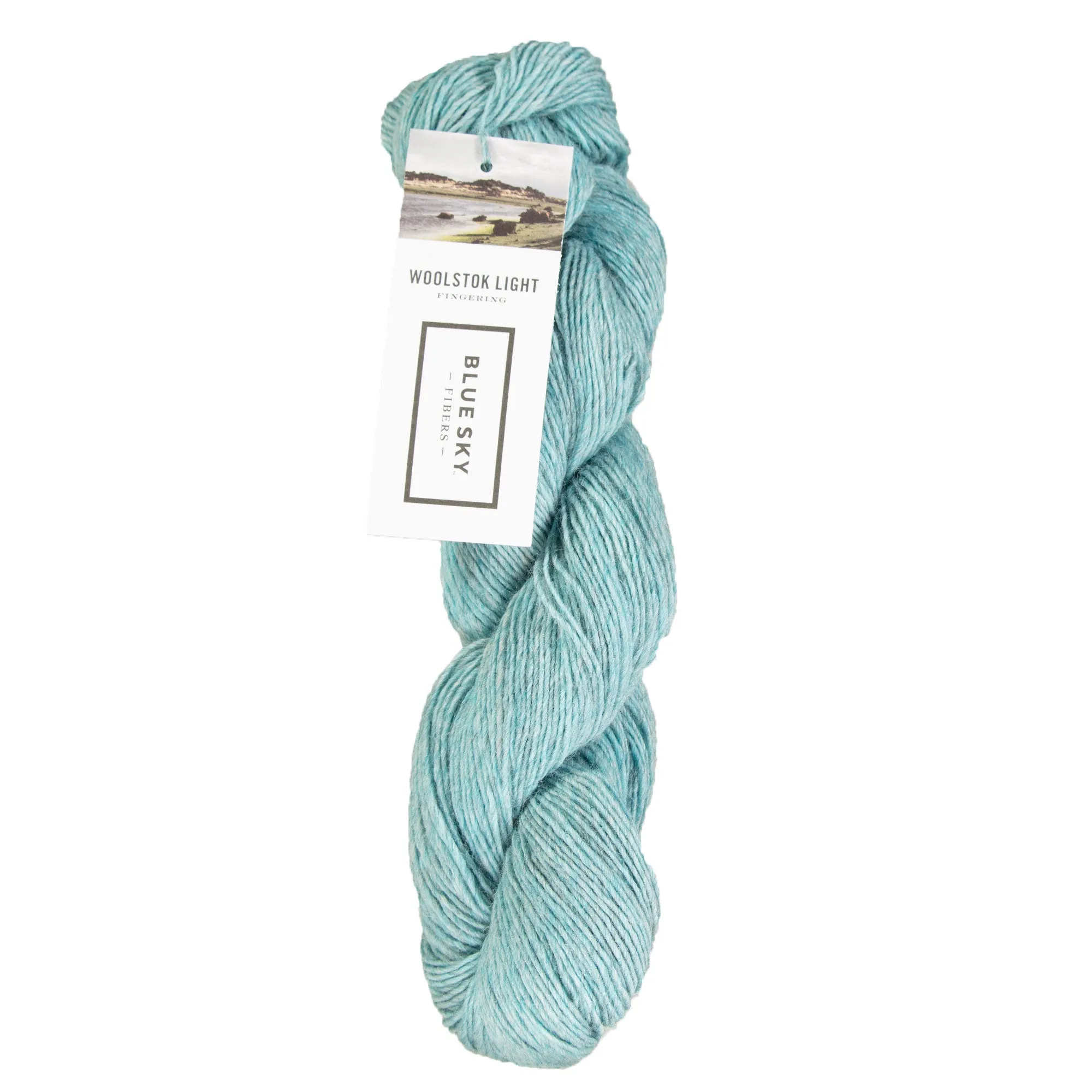 Blue Sky Fibers Woolstok Light Yarn - 2320 Spring Ice