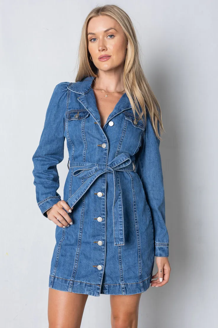 Daisy Denim Dress