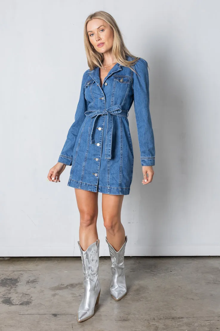 Daisy Denim Dress