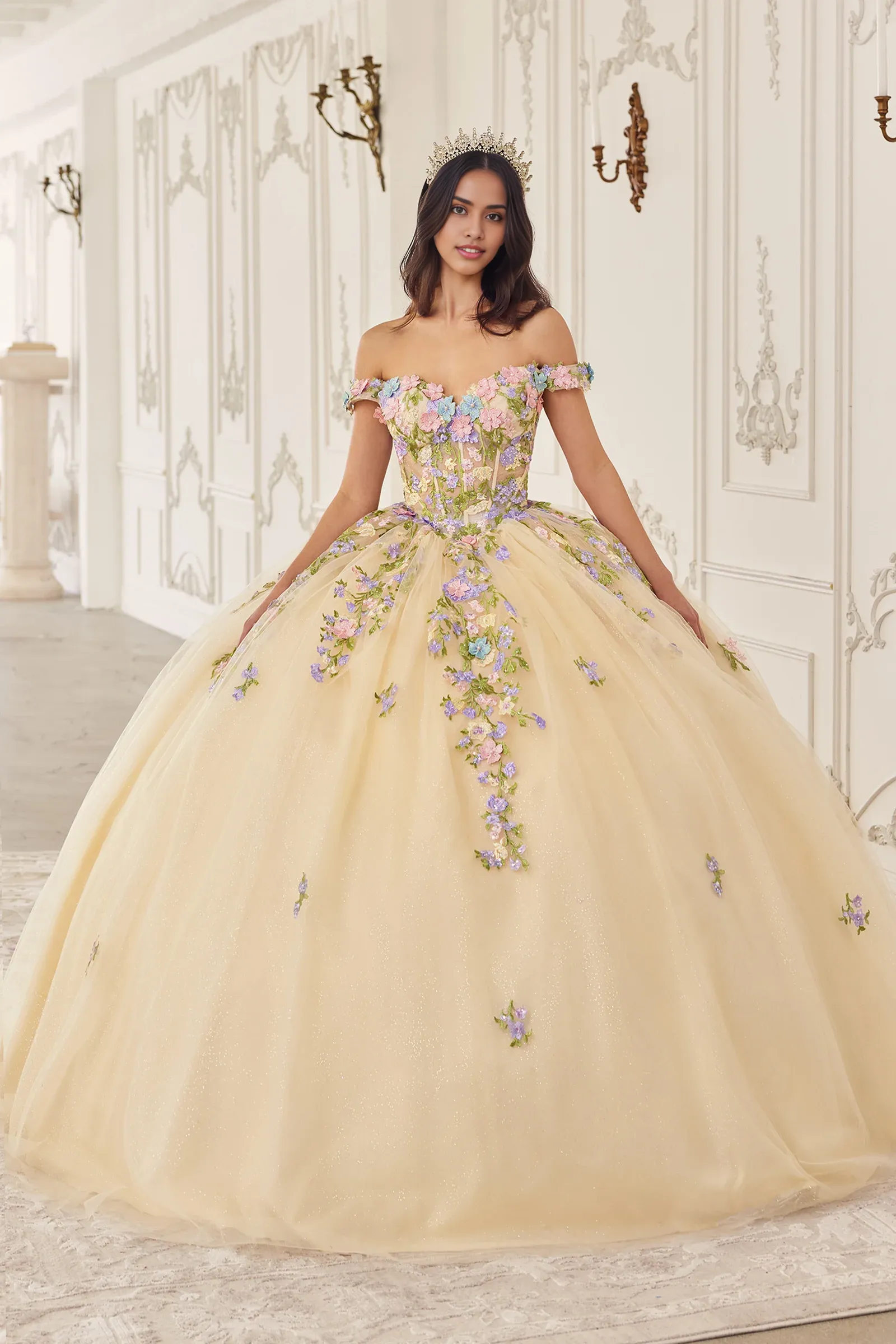 Floral Off Shoulder Ball Gown Quinceanera Dresses Princess Dress