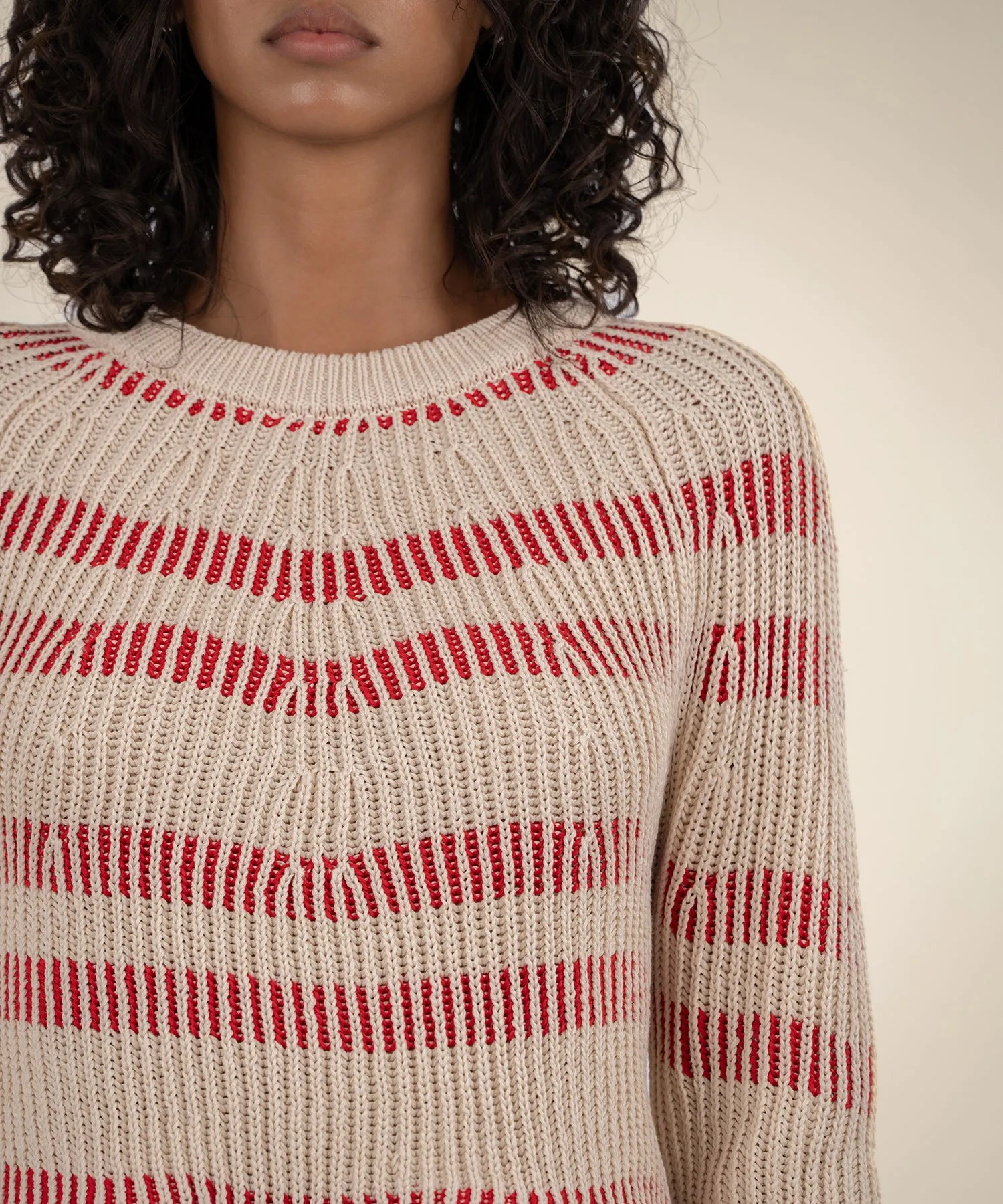 Reagen Stripe Crewneck Sweater