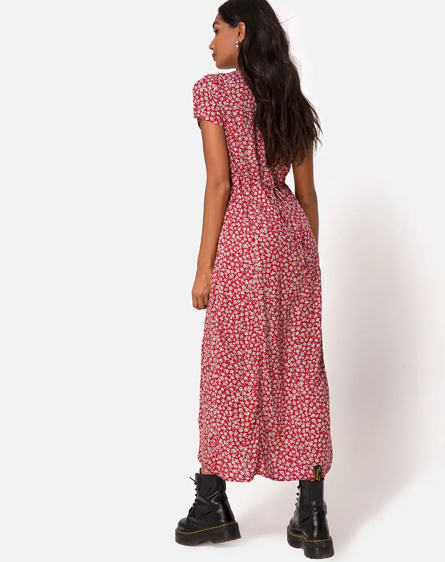 Sanrin Dress in Ditsy Rose Red Silver