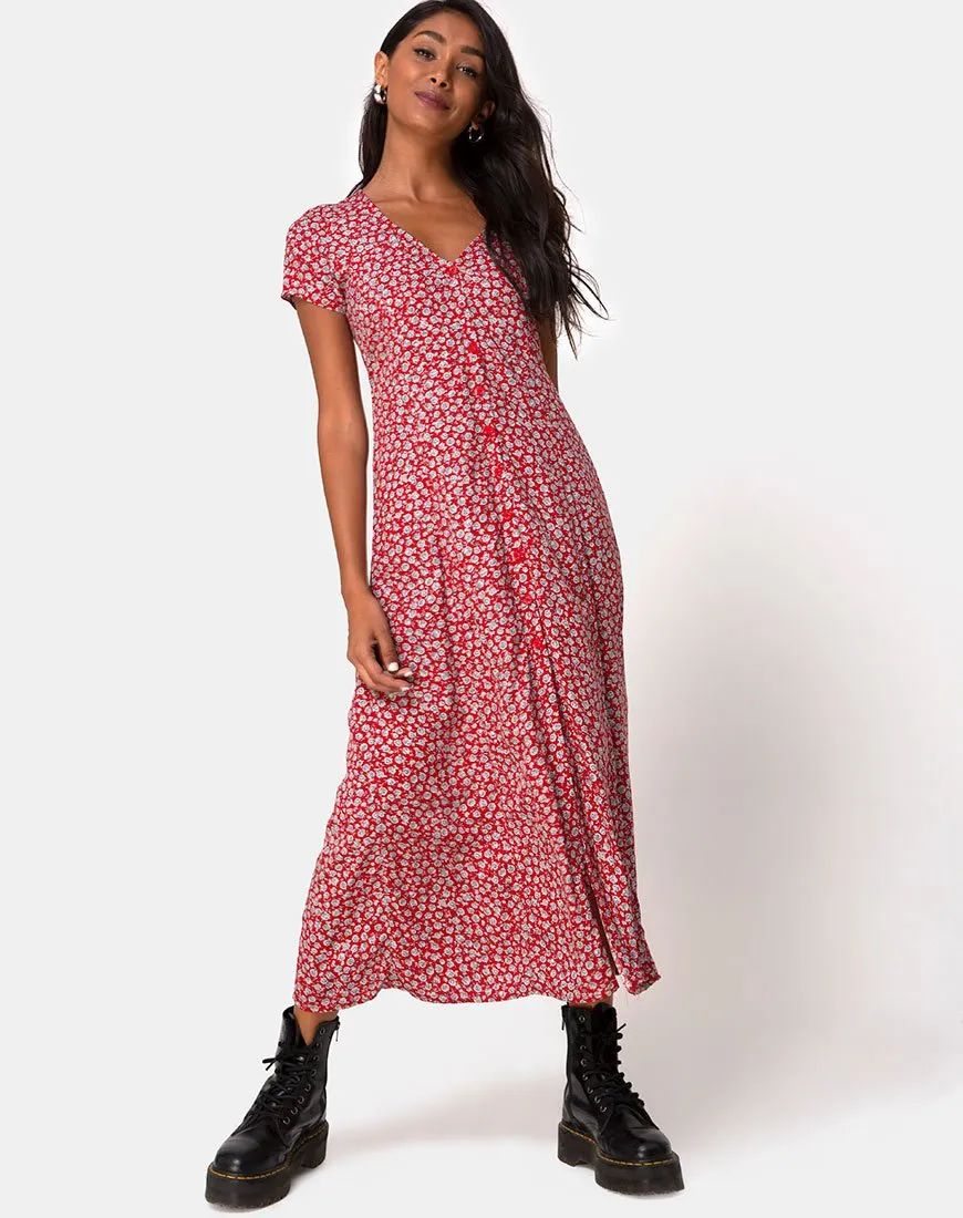 Sanrin Dress in Ditsy Rose Red Silver